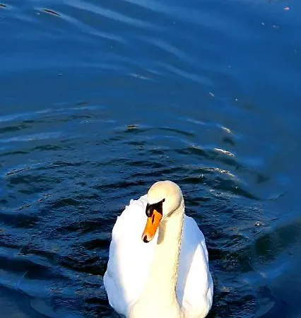 Boutique-hotel Kronenstuben - Unschlagbare Zentrumsnaehe Direkt Am Marstall & Marktplatz - Schloss In 3 Min - Fruehstueck - Langzeitmiete Hotel 3*