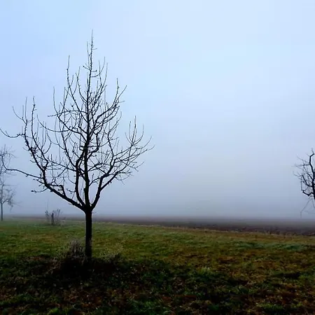 Hotel Boutique-hotel Kronenstuben - Unschlagbare Zentrumsnaehe Direkt Am Marstall & Marktplatz - Schloss In 3 Min - Fruehstueck - Langzeitmiete Ludwigsburg