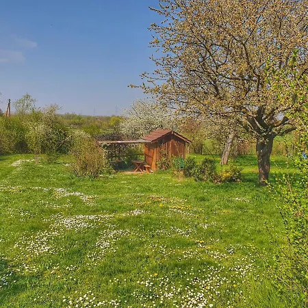 Boutique-hotel Kronenstuben - Unschlagbare Zentrumsnaehe Direkt Am Marstall & Marktplatz - Schloss In 3 Min - Fruehstueck - Langzeitmiete Λούντβιχσμπουργκ