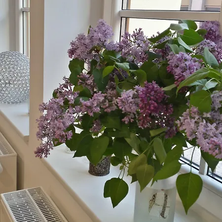 Hotel Boutique-hotel Kronenstuben - Unschlagbare Zentrumsnaehe Direkt Am Marstall & Marktplatz - Schloss In 3 Min - Fruehstueck - Langzeitmiete Ludwigsburg